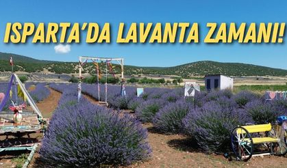 Isparta'da lavanta zamanı!
