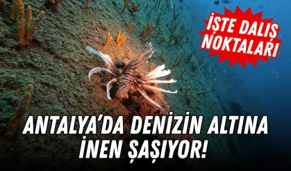 Antalya’da denizin altına inen şaşıyor! İşte dalış noktaları