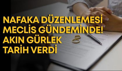 Nafaka düzenlemesi meclis gündeminde! Akın Gürlek tarih verdi
