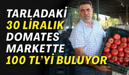 Tarladaki 30 liralık domates markette 100 TL’yi buluyor