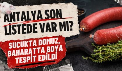 Sucukta domuz, baharatta boya tespit edildi: Antalya son listede var mı?
