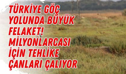Türkiye göç yolunda büyük felaket! Milyonlarcası için tehlike çanları çalıyor