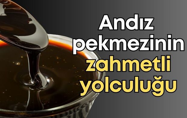 Toroslar’da şifa kazanları kaynıyor! Andız pekmezinin zahmetli yolculuğu