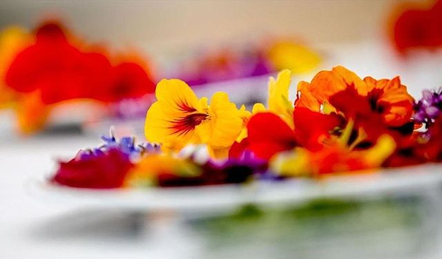 Antalya'da, yılbaşı dolayısıyla yenilenebilir çiçeklere talep arttı 