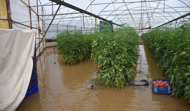 Antalya tarımını sel felaketi vurdu: Bin 948 dekar tarım arazisini su bastı
