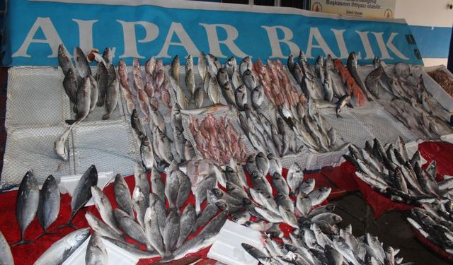 Antalya’da güncel balık fiyatları… Hamsi, levrek, istavrit, çipura...