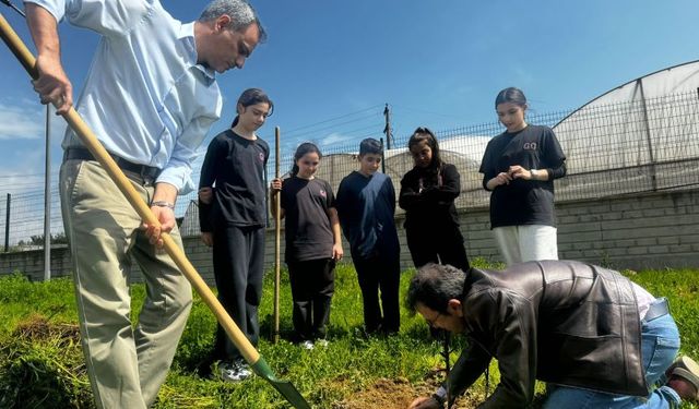 Muratpaşa'da öğrenciler zeytin fidanlarını toprakla buluşturdu