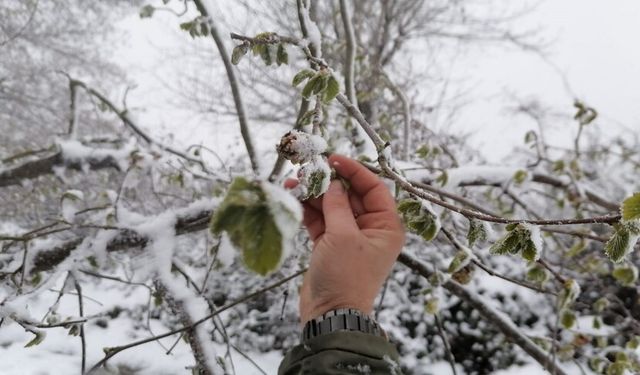 Denizli üreticisi bu habere dikkat!