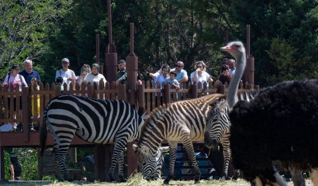 Antalya Doğal Yaşam Parkı tekrar açılıyor