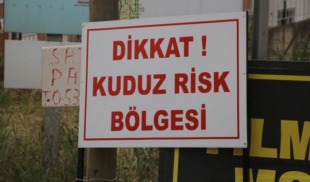 Veteriner Hekimler Odası’ndan kuduz uyarısı: “Önlenebilir bir hastalıktan can kaybı yaşanmasın”