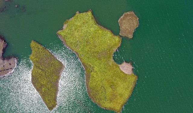 Dünyada başka örneği yok! Bakanlık "Yüzen Adaları" korumaya alıyor
