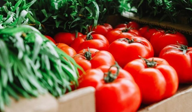 Antalya’da sebze fiyatları uçuyor! 24 Mart 2026 Hal fiyatları