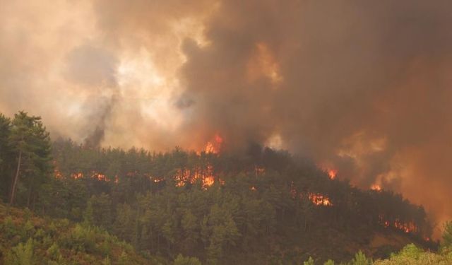 Antalya'da mahalle muhtarları alarma geçti