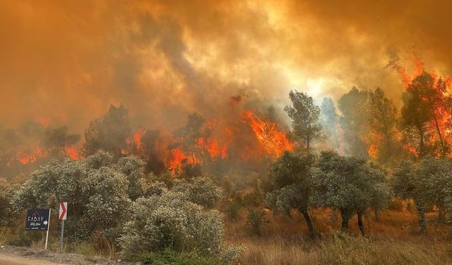 Antalya’da ‘afet’ toplantısı! Müdahale seviyeleri 4 gruba ayrıldı