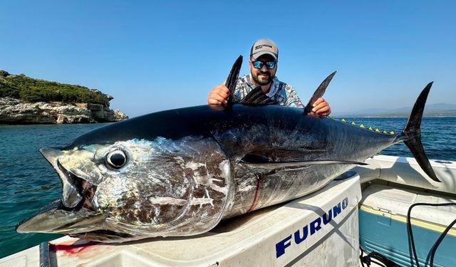 Antalyalı balıkçının unutulmaz avı! 3 tane dev orkinos yakaladı