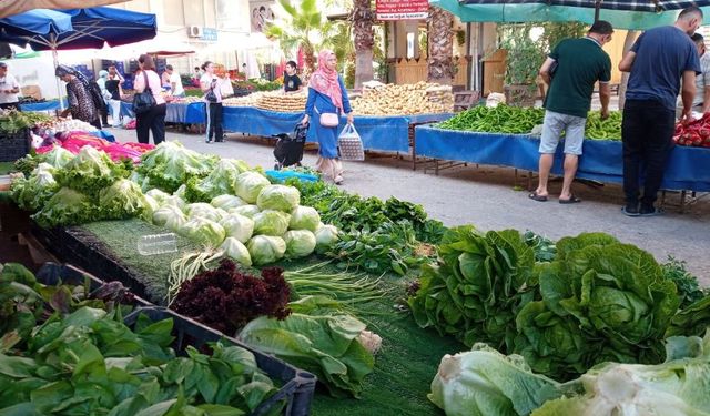 Antalya Muratpaşa Salı Pazarı’nda güncel sebze ve meyve fiyatları (16 Temmuz Pazar 2024)