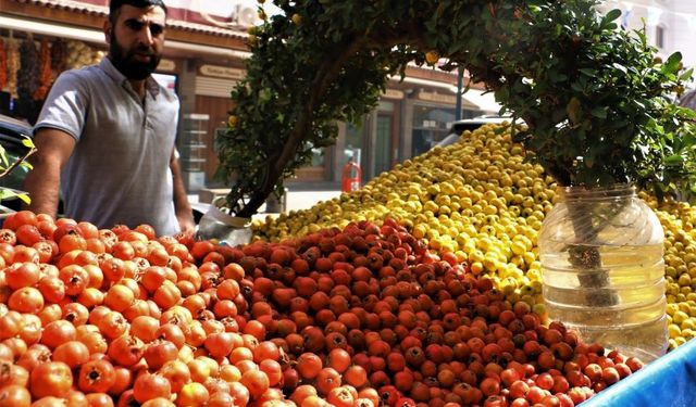 Sonbaharın simgesi ‘alıç’ tezgahlarda! Yağları yakıyor, kilo vermeyi hızlandırıyor