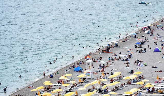 Kaan Kaşif Kavaloğlu: "Her turist otel tercih etmek zorunda değil"