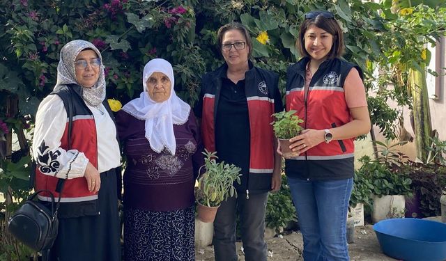 15 Ekim Dünya Kadın Çiftçiler Günü... Bugün onların günü