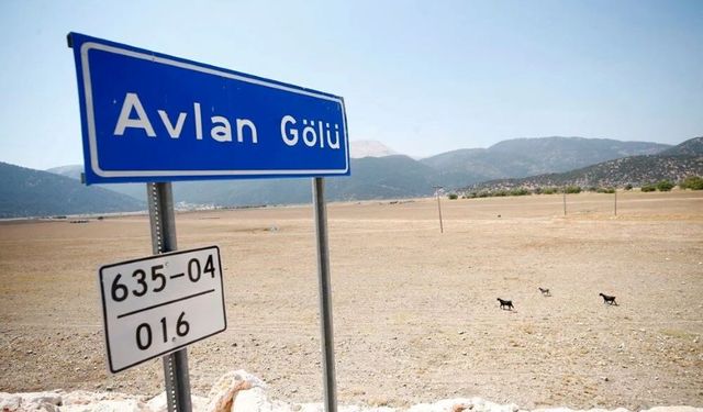 Antalya’da kuruyan Avlan gölü sürülerin otlağı oldu! Kuşlara yetecek su kaldı!