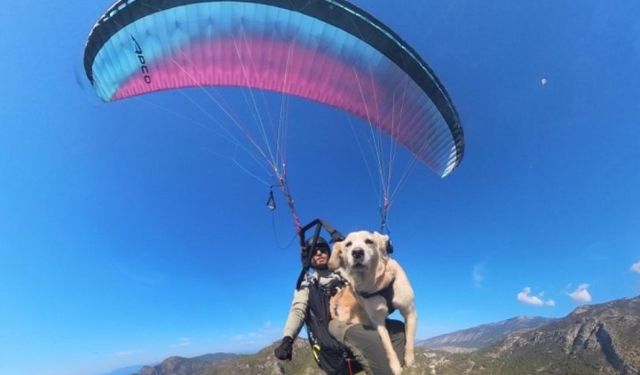 Bin 700 metreden köpeğiyle atladı, adrenalin tutkunlarından tam not aldı