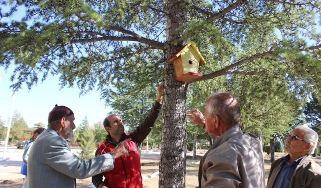 Karaman'ın ağaçları kuş evlerine yuva oldu