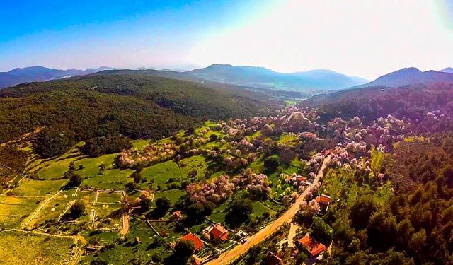 Milletvekili Kaya'dan, Kaş Orman Parkı iptali için teşekkür