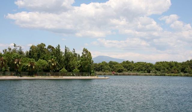 Aykut Kaya Sorgun Ormanı için çağrı yaptı: “Kent parkı yapılması elzemdir”