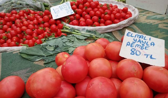 Antalya’da pazar alışverişi artık hayal… Bir kilogram domates 120 TL