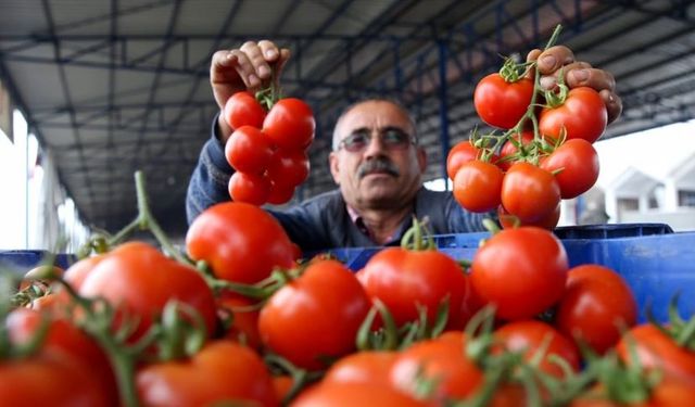 Antalya’da çiftçiyi üzen tüketiciyi sevindiren gelişme!