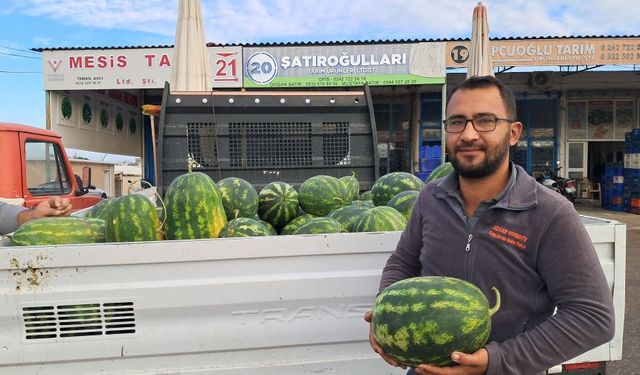 Bu mevsimde karpuz! Serik'te ilk hasat yapıldı