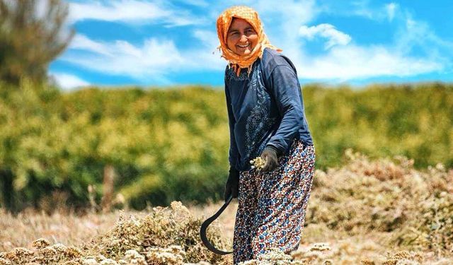 Antalya İl Tarım ve Orman Müdürlüğü’nün ‘kadın’ projesine AB'den hibe