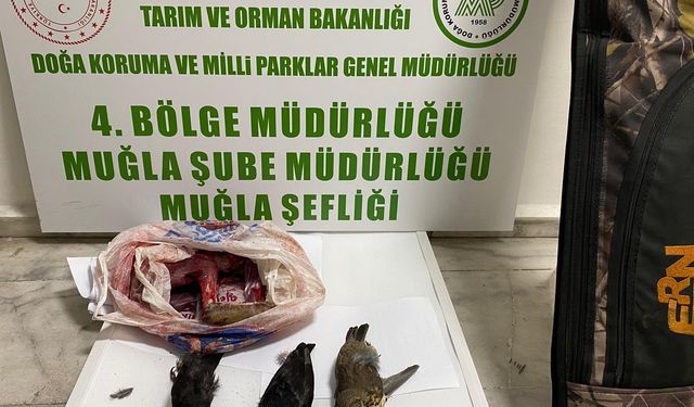 Muğla’da kaçak avcılar affedilmedi