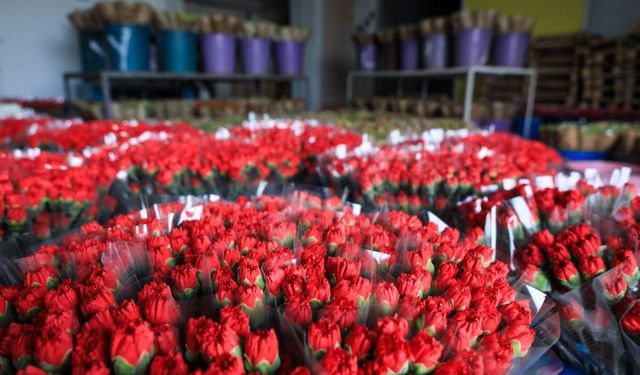 Antalya’da kırmızı karanfil karaborsa! Canlı 100, yapay 1200 TL oldu!