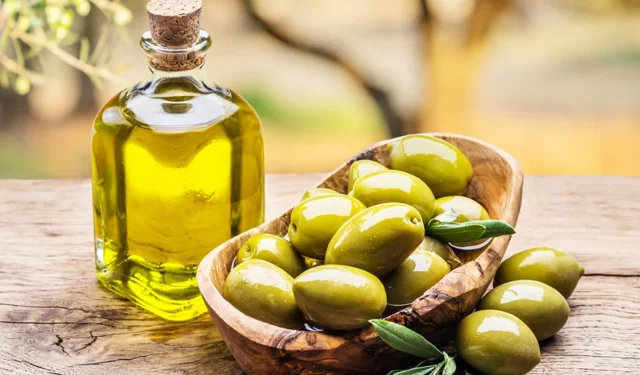 Antalya'da zeytinyağı rotası geliyor: Tarım ve turizm buluşuyor