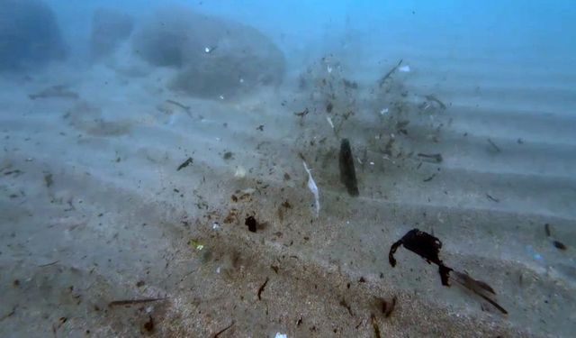 Antalya sahillerindeki mikroplastik kirliliği TBMM gündeminde!