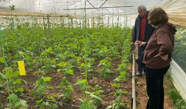 Antalya çiftçisine uyarı! Yasak getirildi