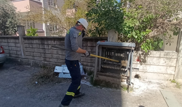 Manavgat'ta elektrik panosuna giren kedi telef oldu