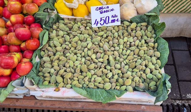 Datça'da badem çağlası hasadı erken başladı