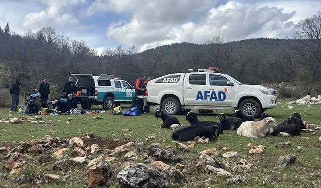 Dağda kaybolan keçilerin ardındaki gizem çözüldü