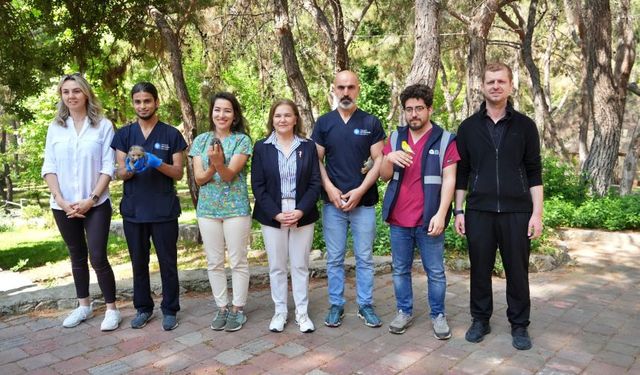 Terk edilen yavrulara insan eliyle annelik ve babalık yapıyorlar