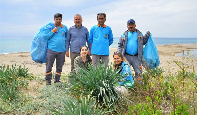 Kum zambakları ve caretta carettalar için kolları sıvadılar