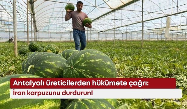 Antalyalı üreticilerden hükümete çağrı: İran karpuzunu durdurun!