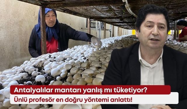 Antalyalılar mantarı yanlış mı tüketiyor? Ünlü profesör en doğru yöntemi anlattı!