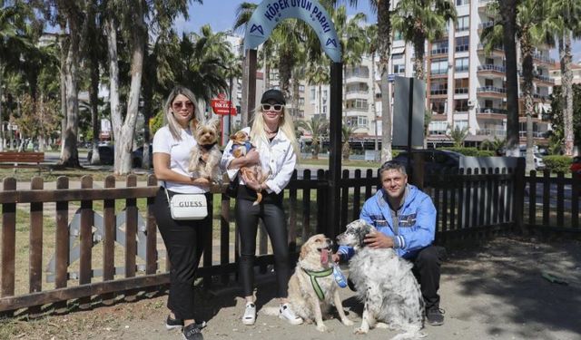 Mersin'de patililere nefes: Sahilde köpekler için özgürlük alanı oluşturuldu