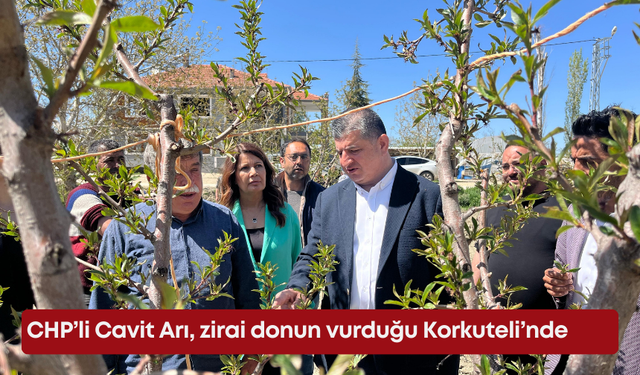 CHP’li Cavit Arı, zirai donun vurduğu Korkuteli’nde