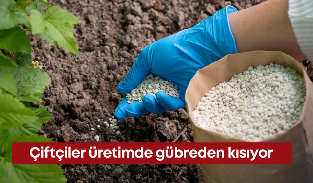 Çiftçiler üretimde gübreden kısıyor