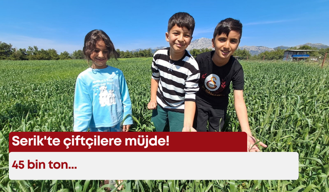 Serik'te çiftçilere müjde! 45 bin ton...