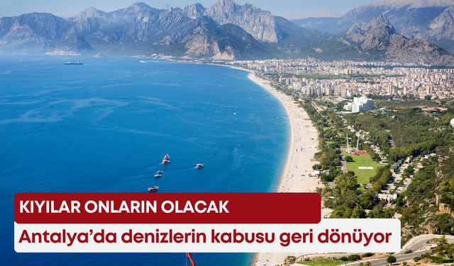 Antalya’da denizlerin kabusu geri dönüyor! Kıyılar onların olacak