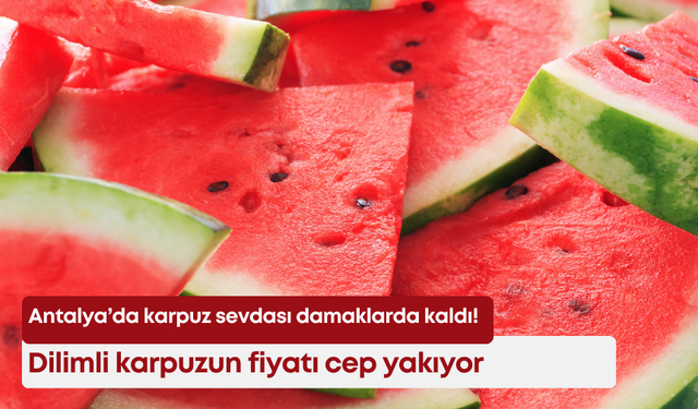 Antalya’da karpuz sevdası damaklarda kaldı! Dilimli karpuzun fiyatı cep yakıyor